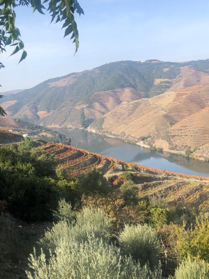 Castas Do Douro * Tabuaco